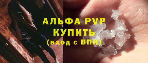 стаф Елабуга