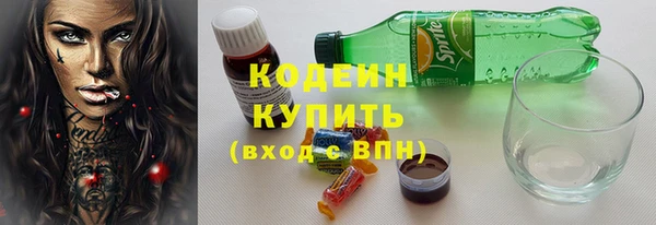 спиды Ельня