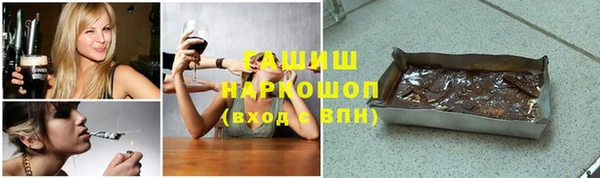 спиды Ельня