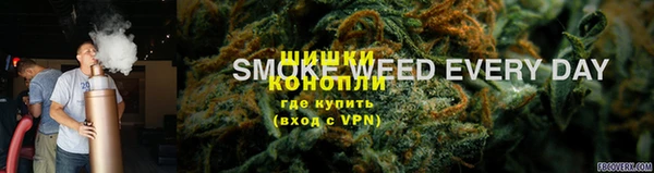 ПСИЛОЦИБИНОВЫЕ ГРИБЫ Елизово