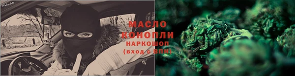 спиды Ельня