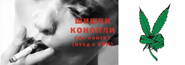стаф Елабуга