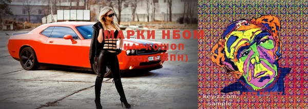ПСИЛОЦИБИНОВЫЕ ГРИБЫ Елизово