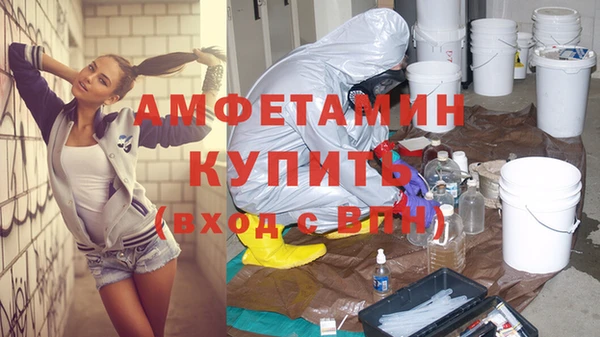 спиды Ельня