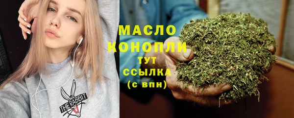спиды Ельня