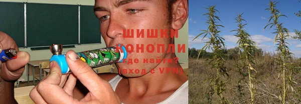 ПСИЛОЦИБИНОВЫЕ ГРИБЫ Елизово