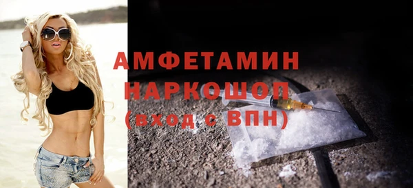 спиды Ельня