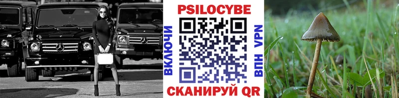 Купить где Красавино Псилоцибиновые грибы Cubensis