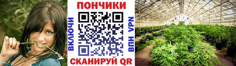 Бошки Шишки AK-47 Купить закладки Красавино